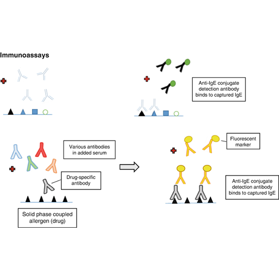 allergy drug chymopapain test